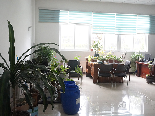 貴（guì）輪印象